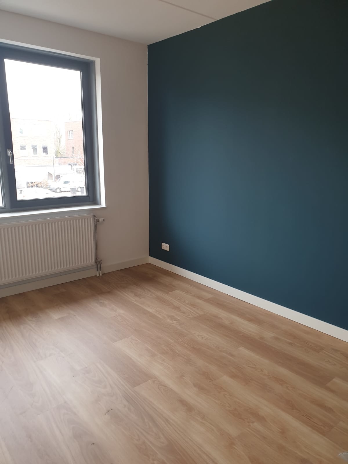 mFlor Woburn Woods Bedgebury Oak