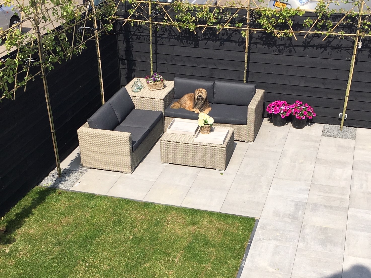 de hond vindt de nieuwe tuinset van AVH geweldig!
