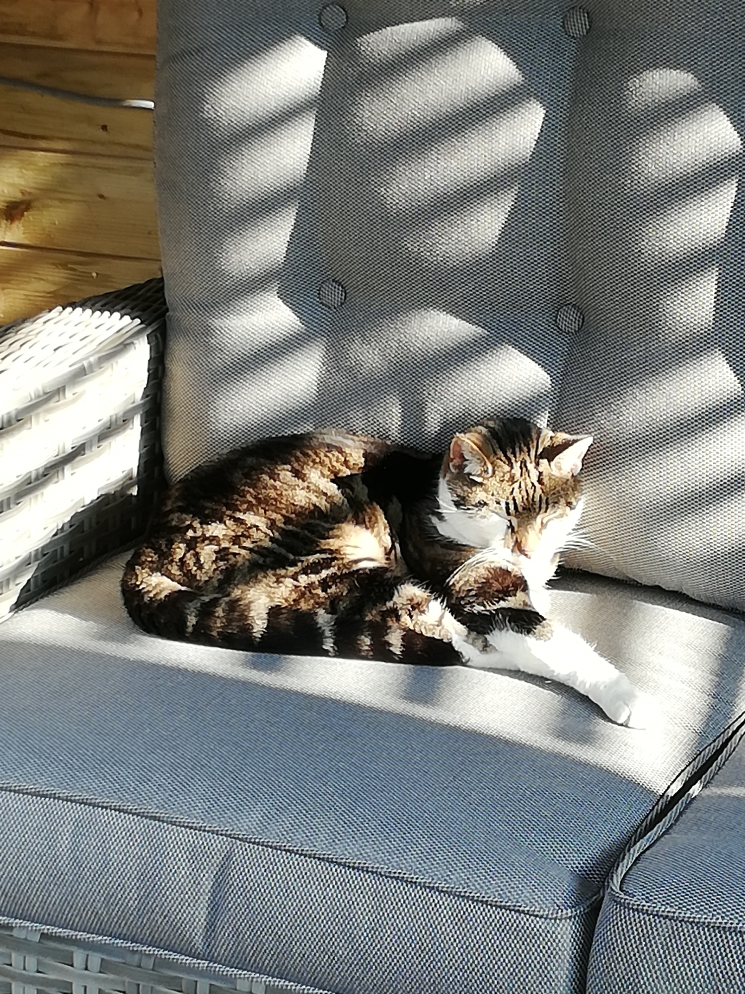 Vandaag voor het eerst lekker in het zonnetje kunnen genieten van onze nieuwe loungeset.