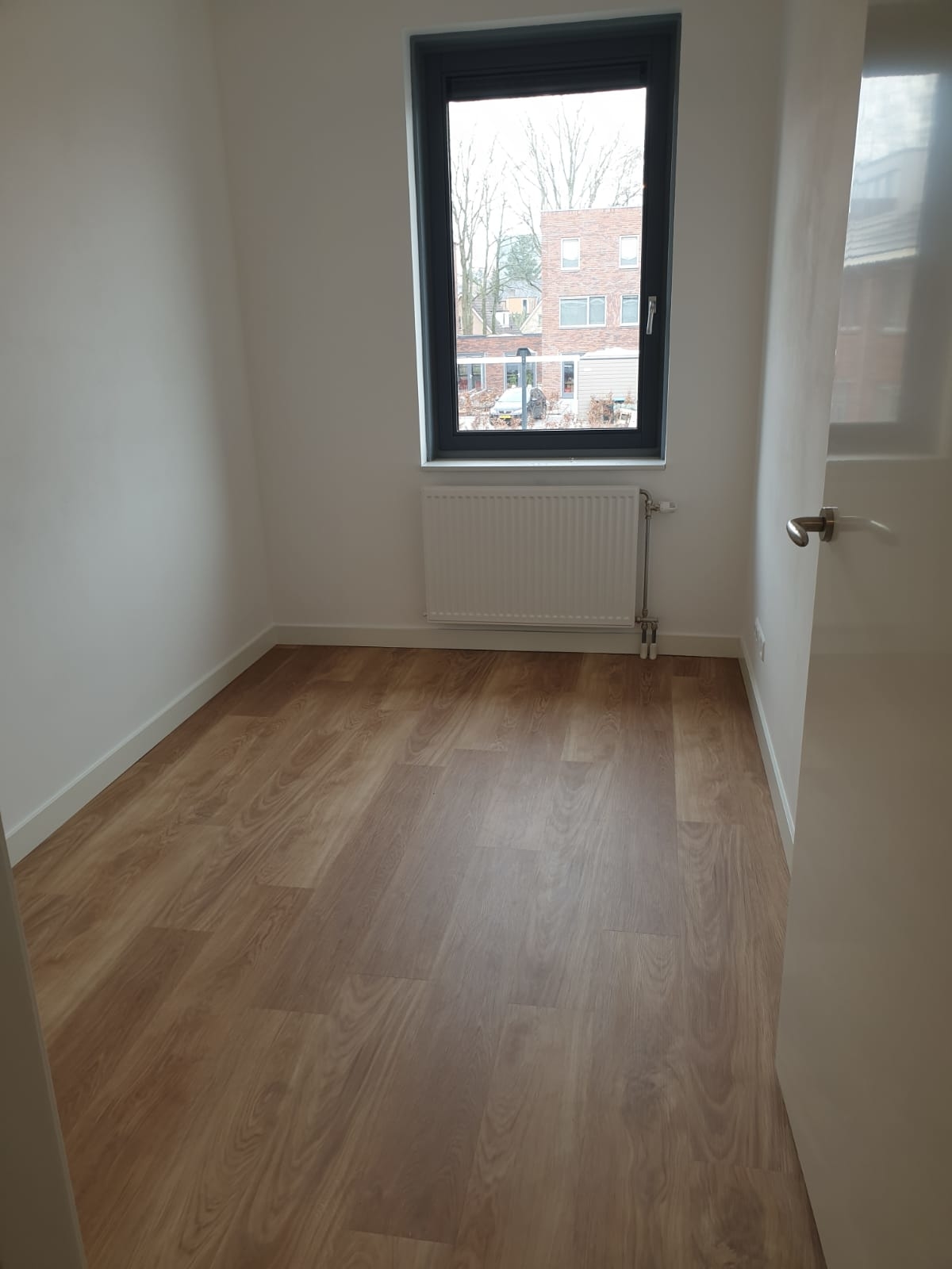mFlor Woburn Woods Bedgebury Oak