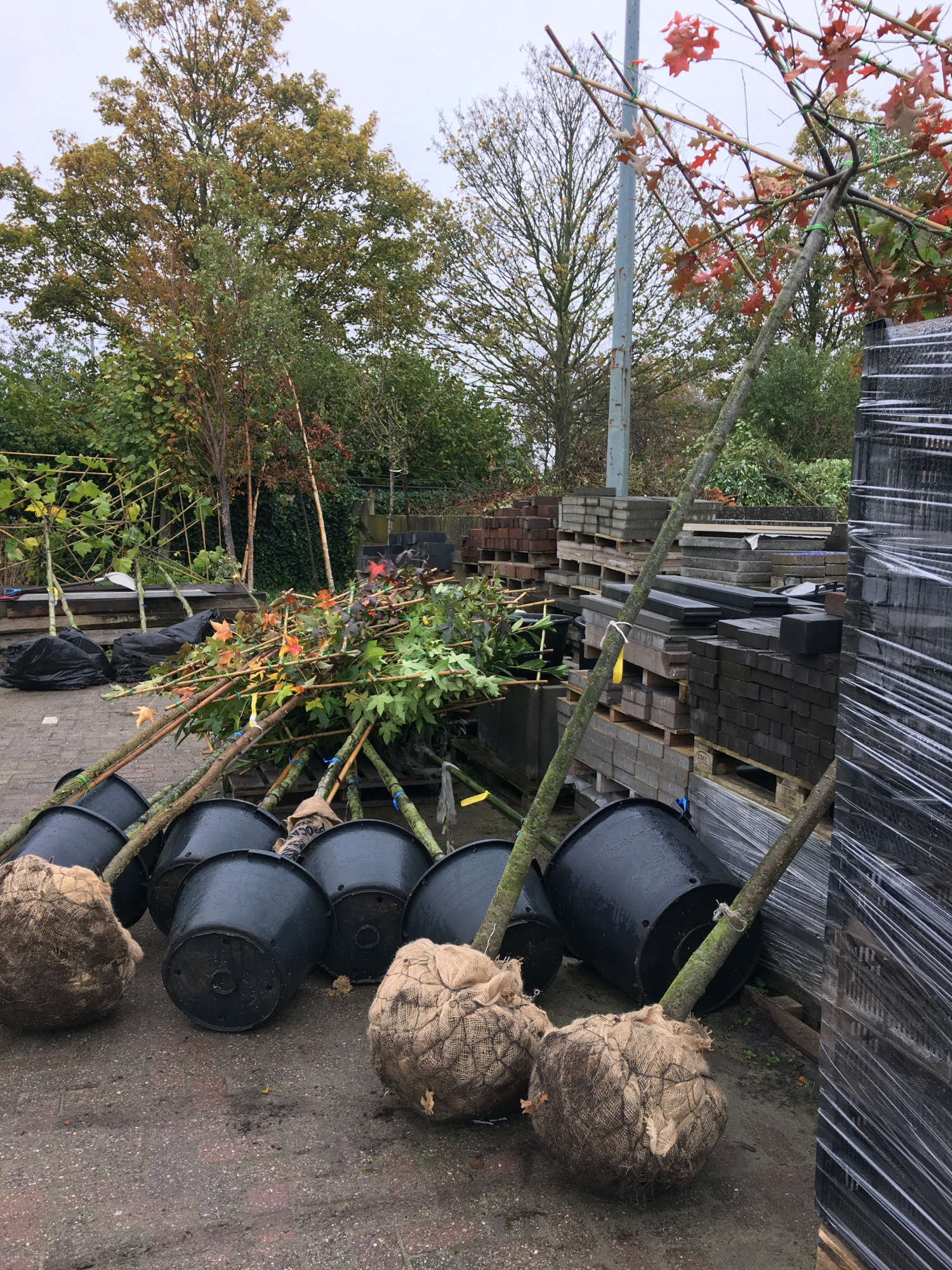 Tuinen aanplanten