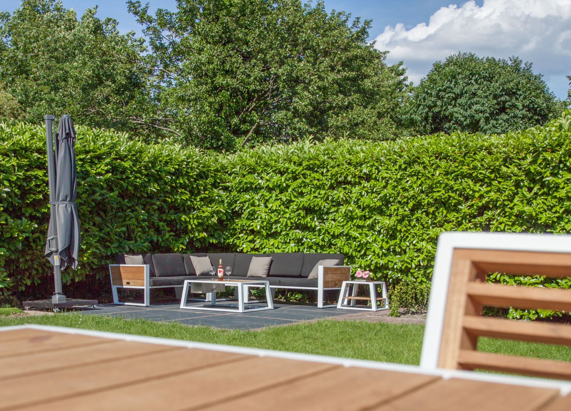 Een gouden keuze voor in onze tuin!