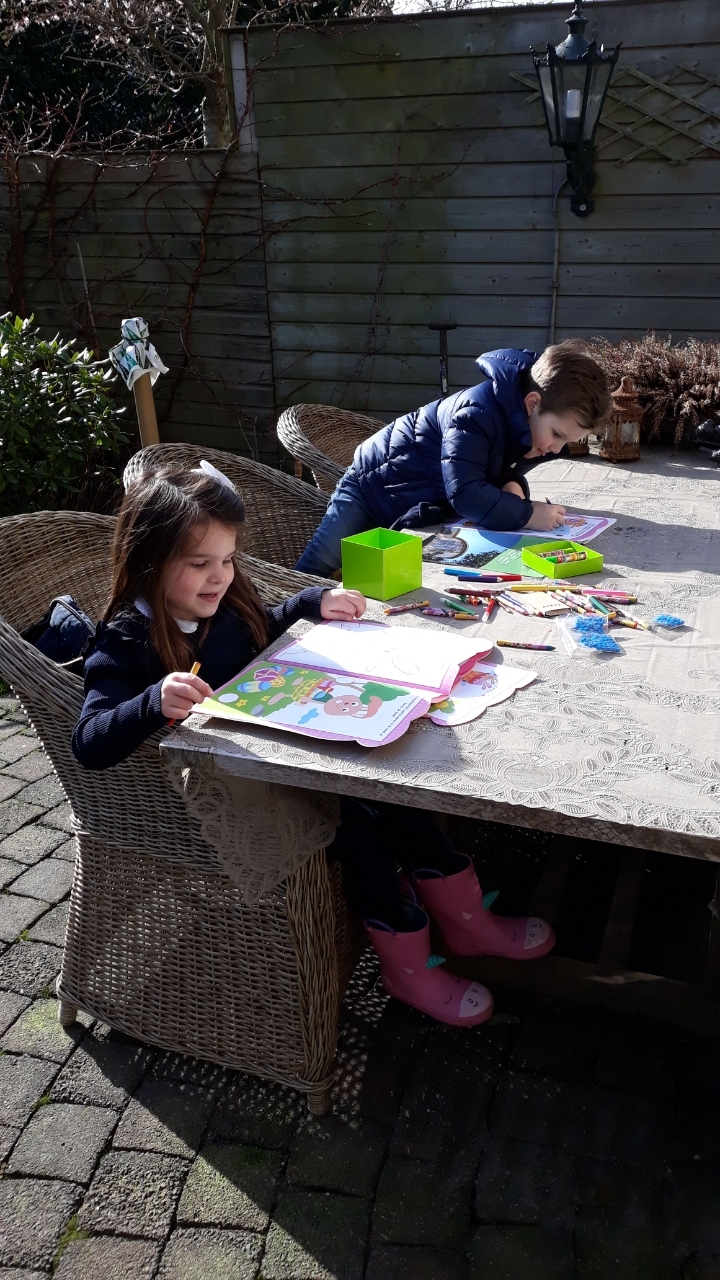 Kleuren in de tuin