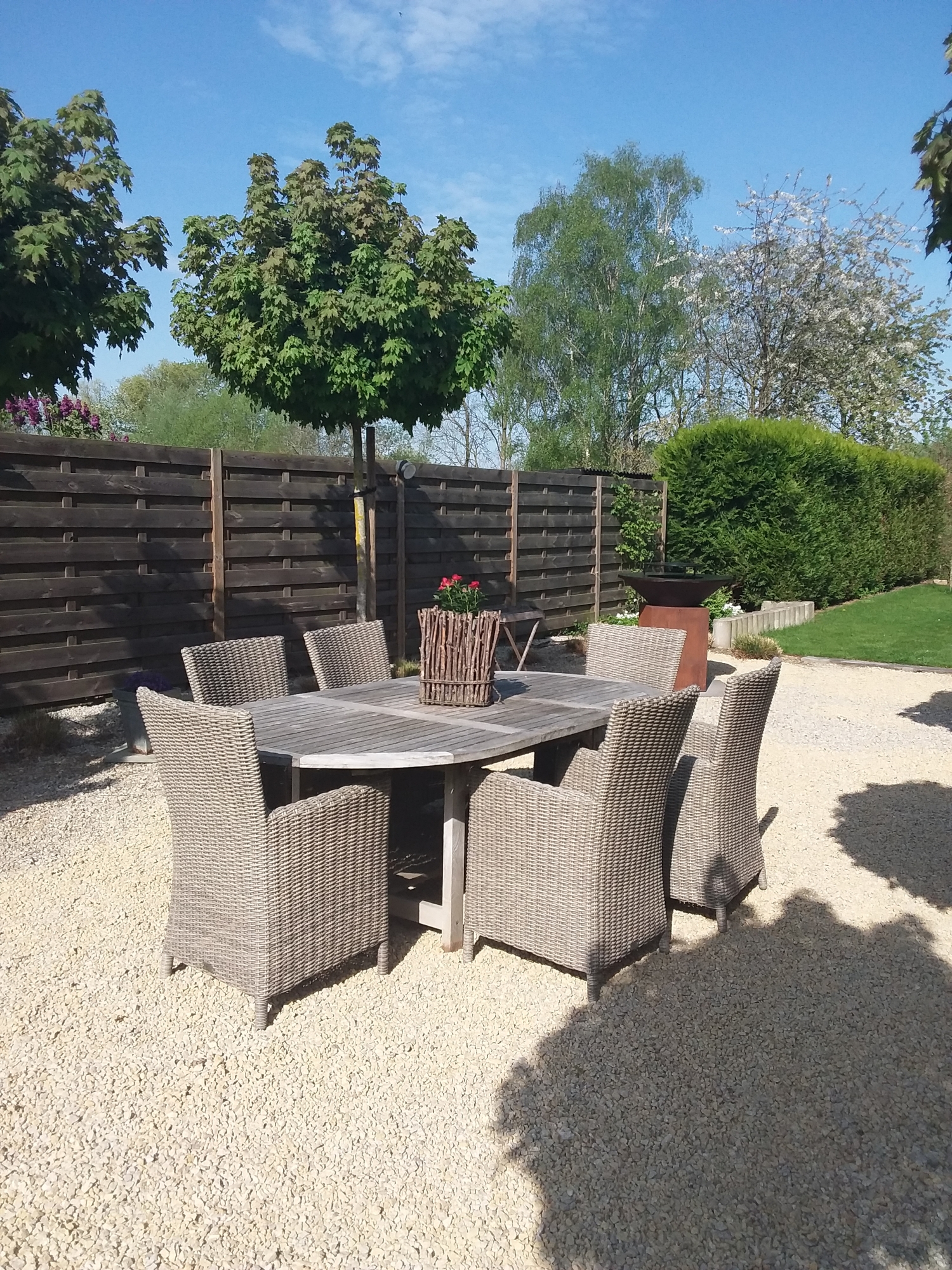 mooie capri dining stoelen voor rond de eettafel