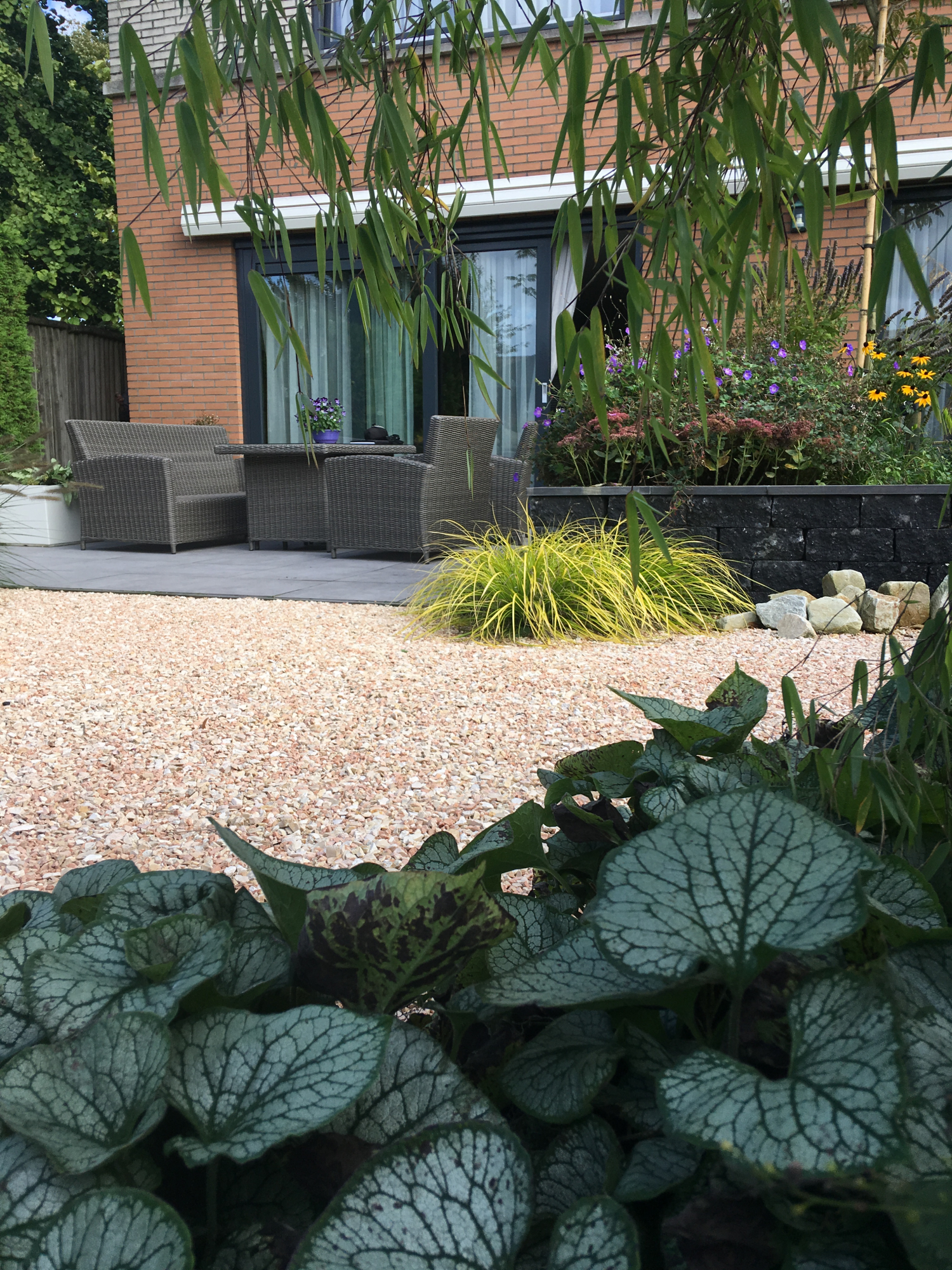Onderhoudsvriendelijke tuin