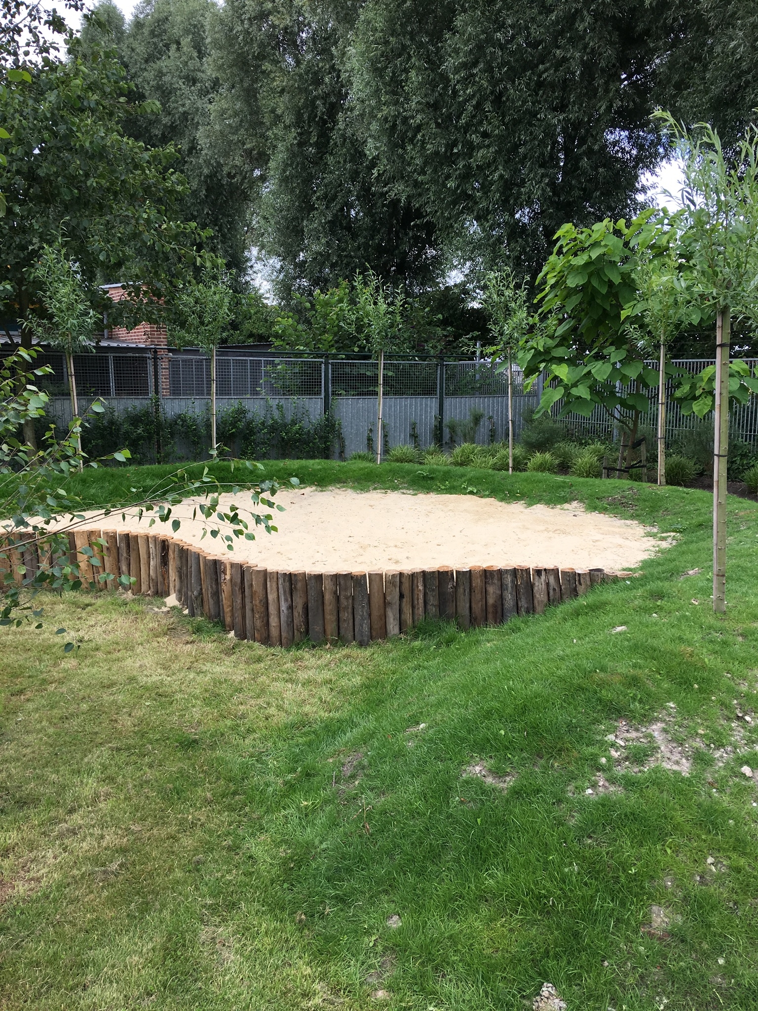 Natuurlijk spelen voor honden