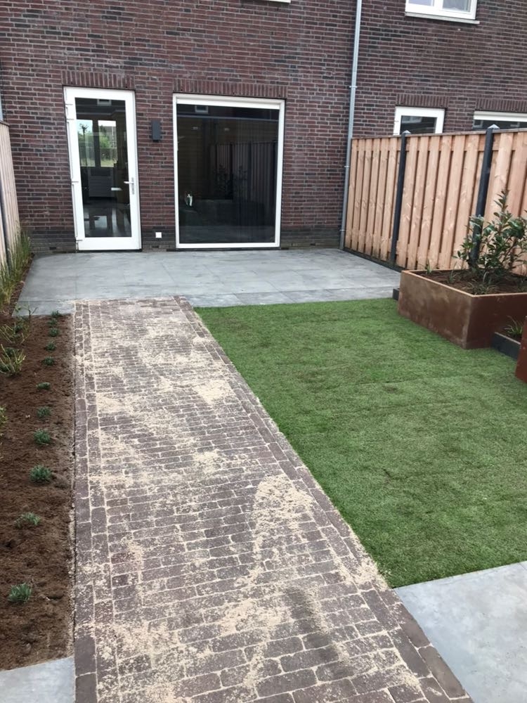 Achtertuin 3