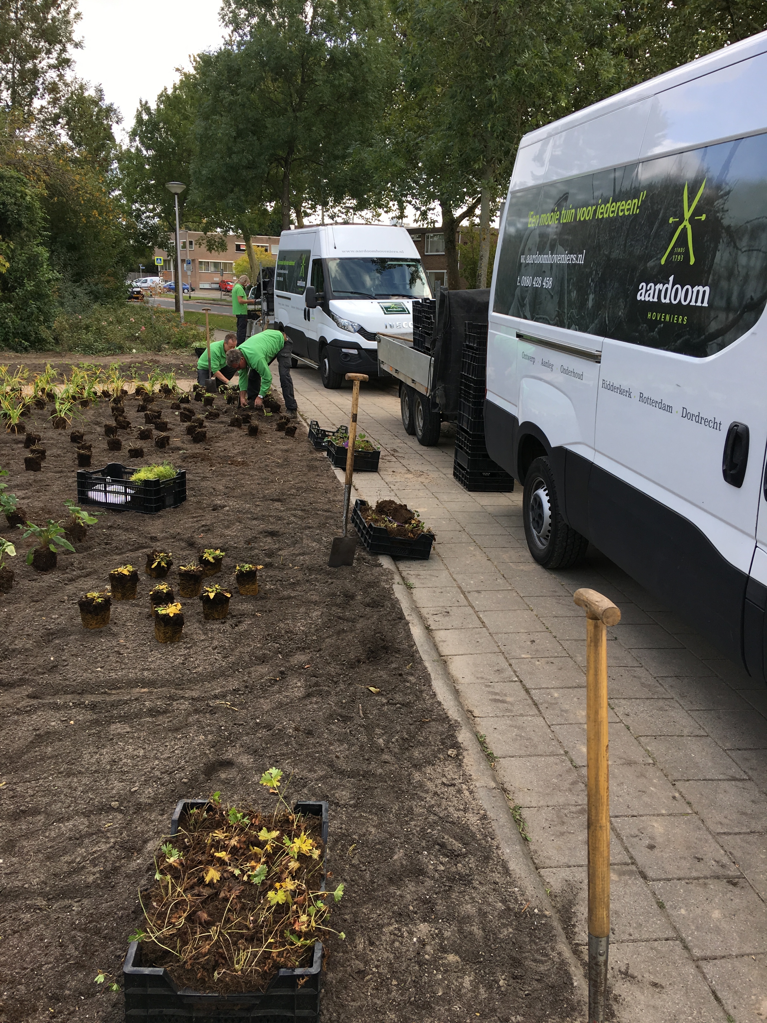 Green-to-Colour beplanting 07