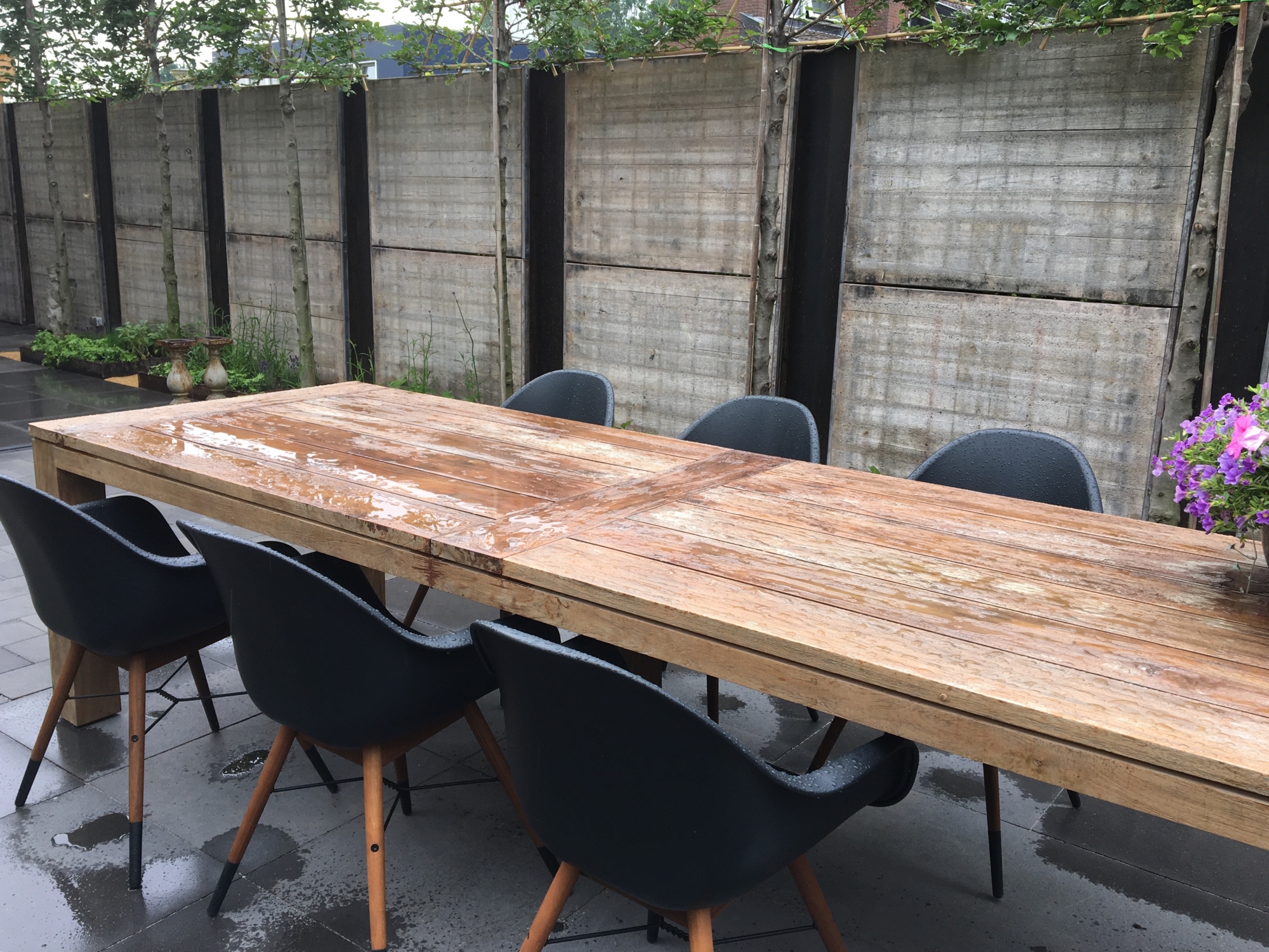 Achtertuin 10