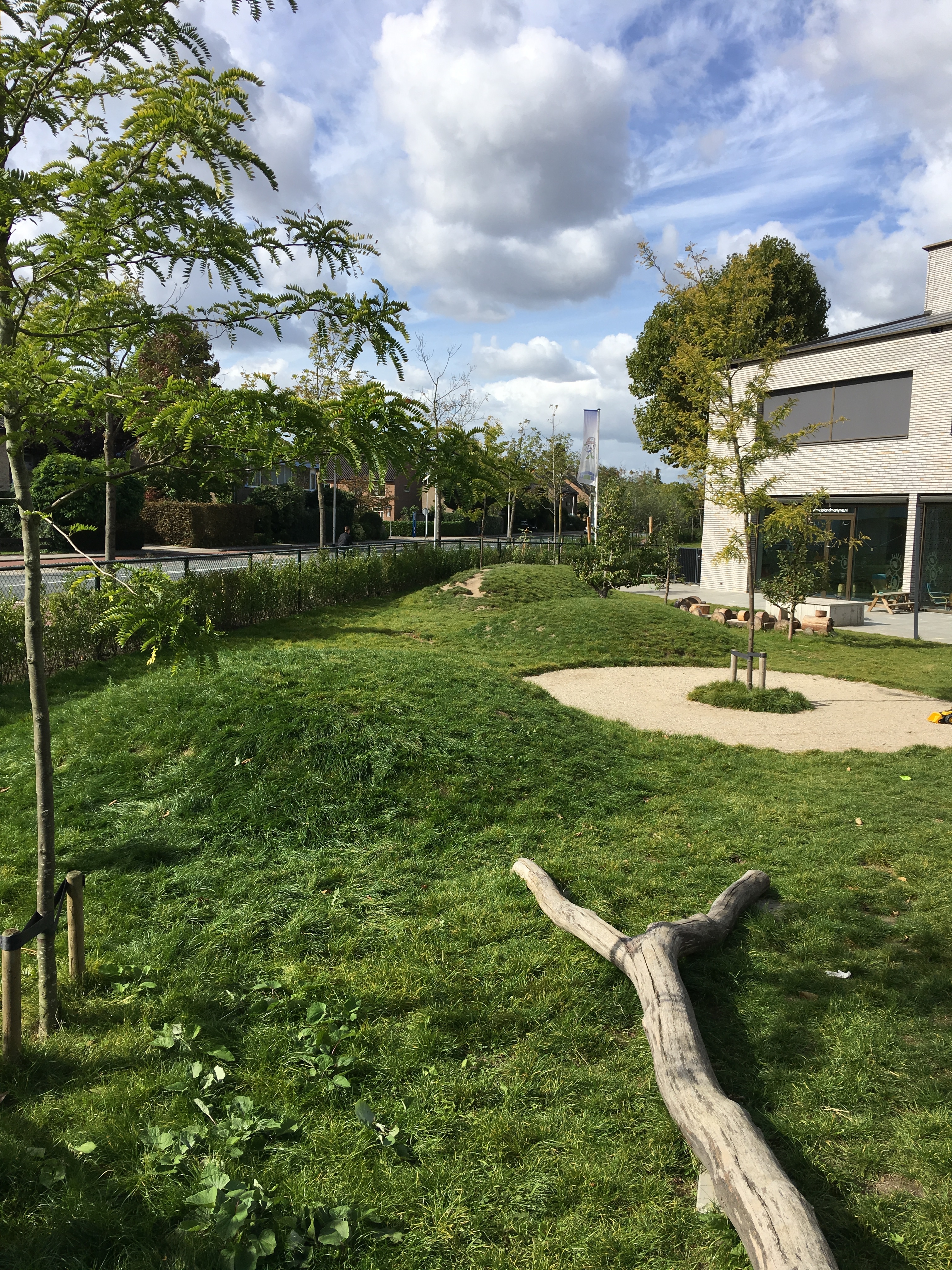 Groene speelplek kinderdagverblijf