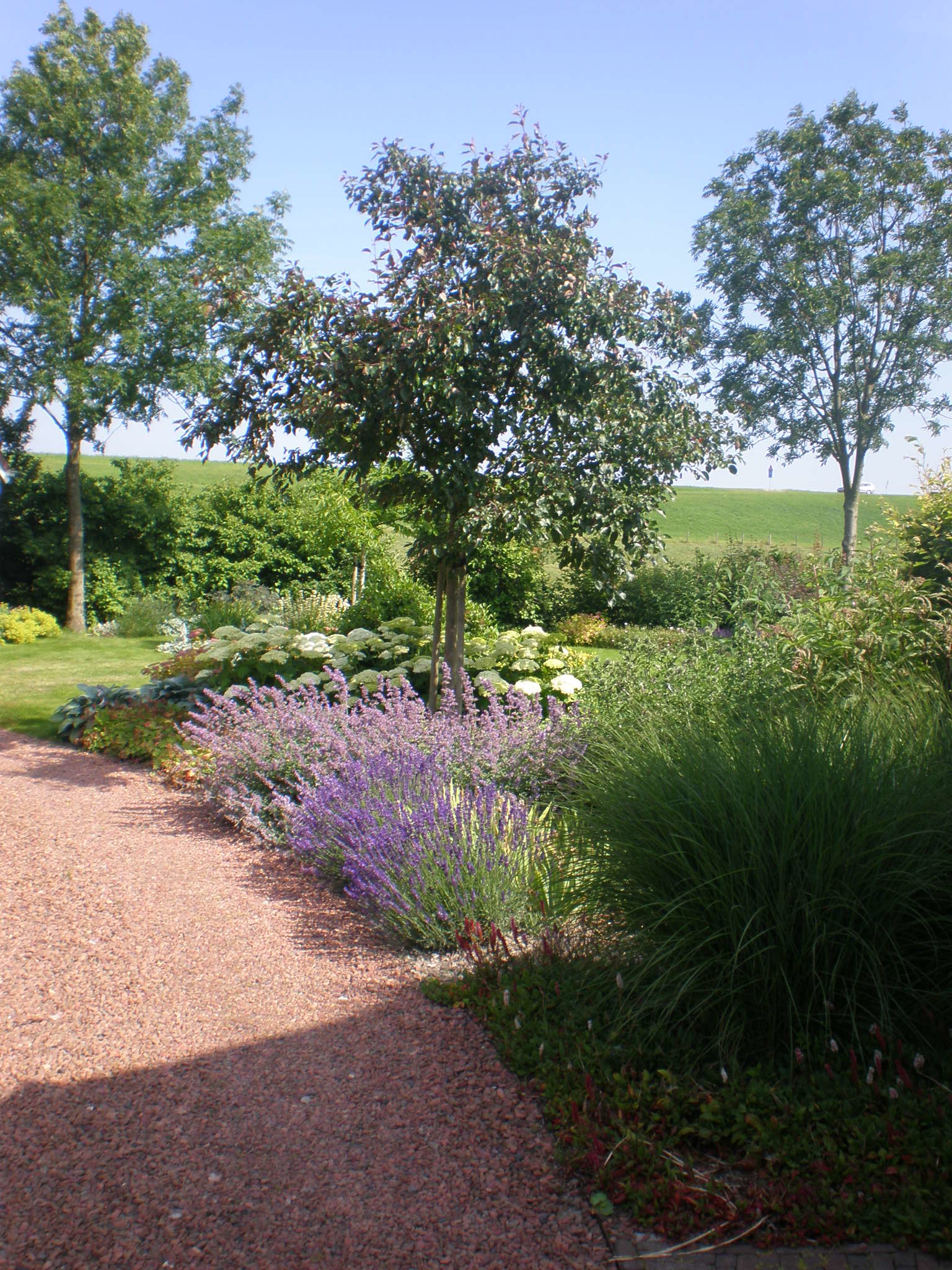 Landelijke tuin