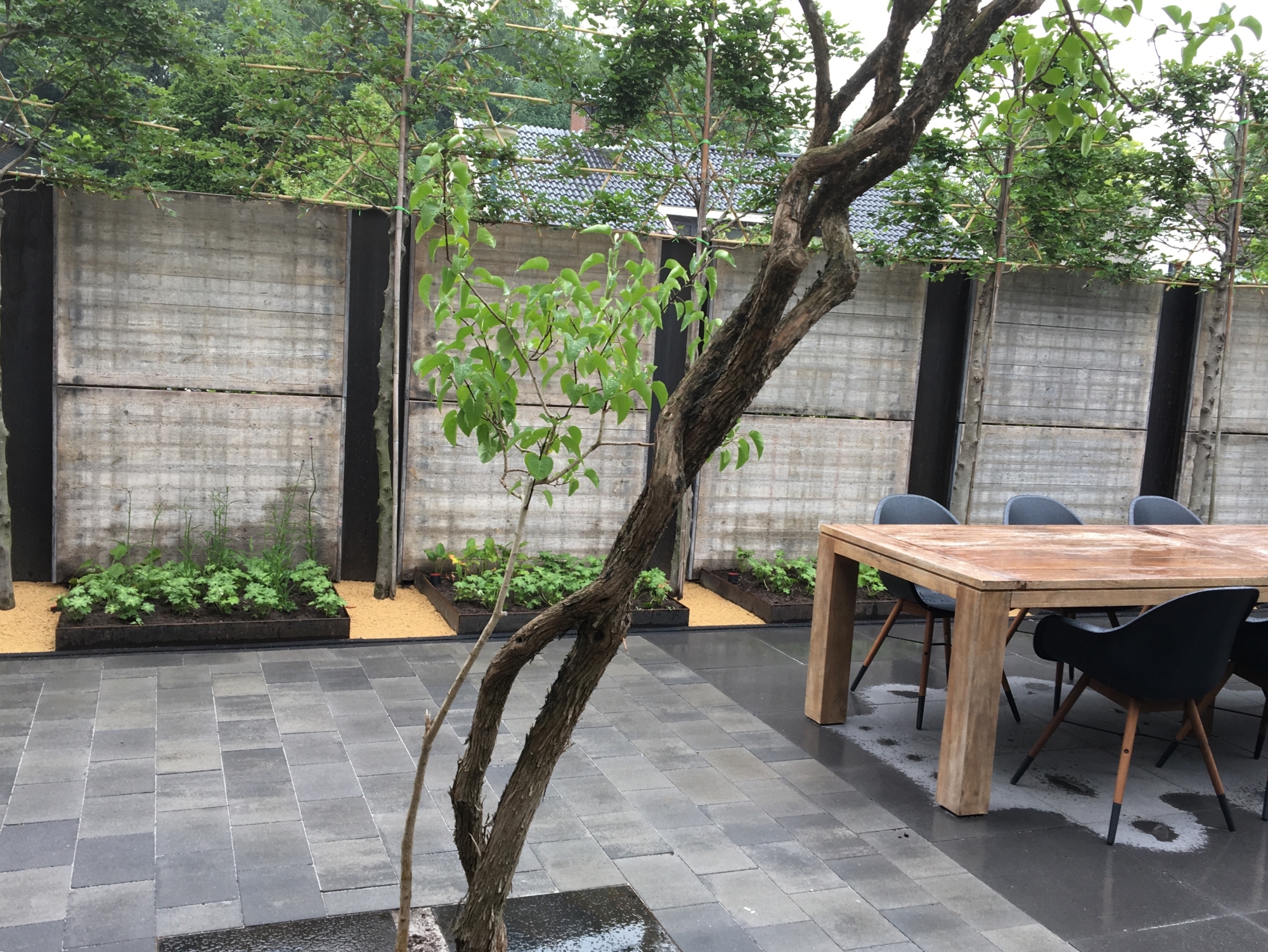 Achtertuin 3