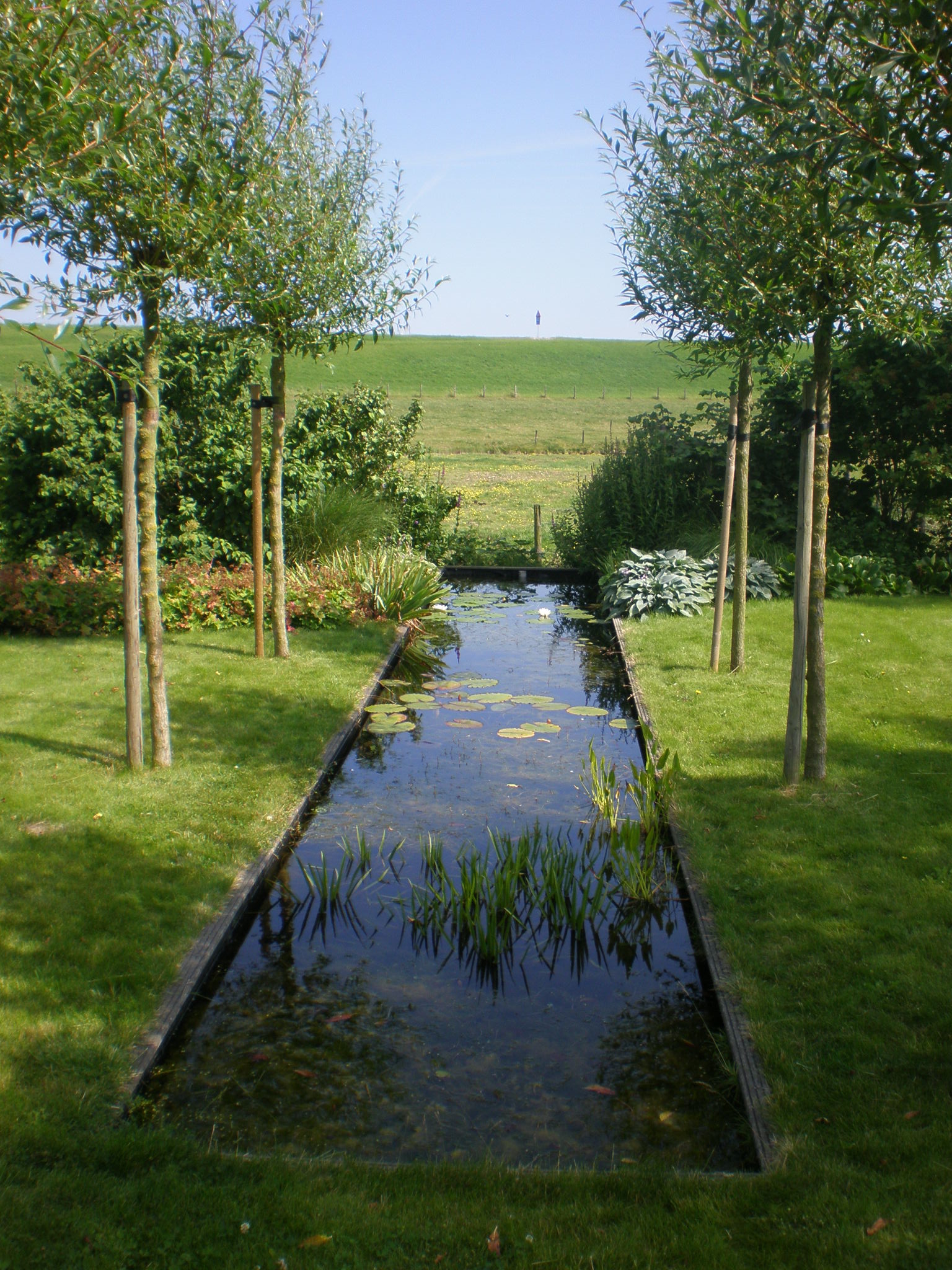Landelijke tuin met vijver