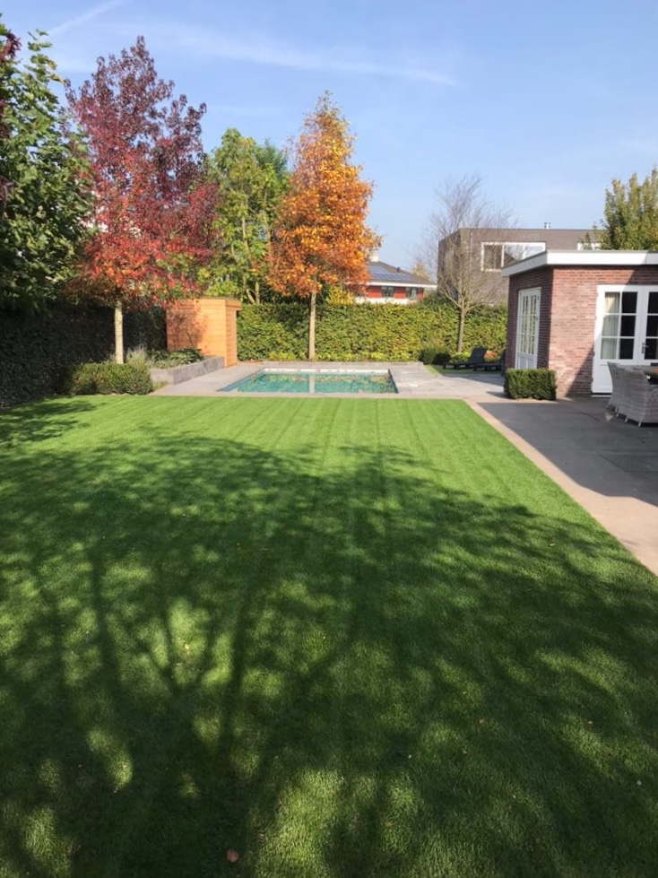 Tuin met zwembad 2
