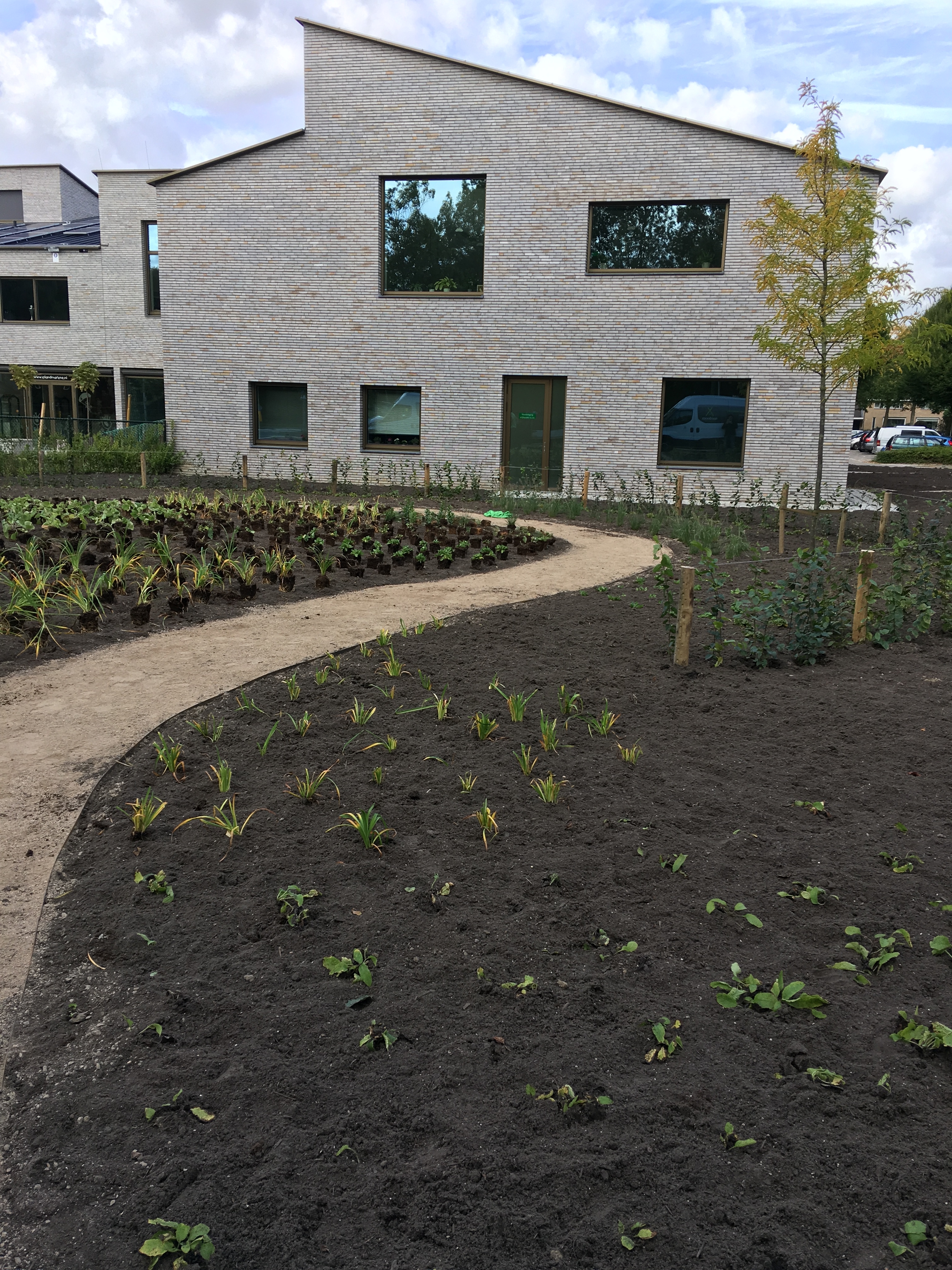 Green-to-Colour beplanting 03