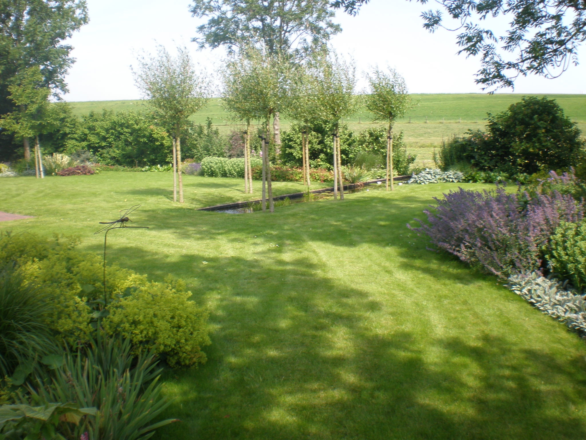 Landelijke tuin