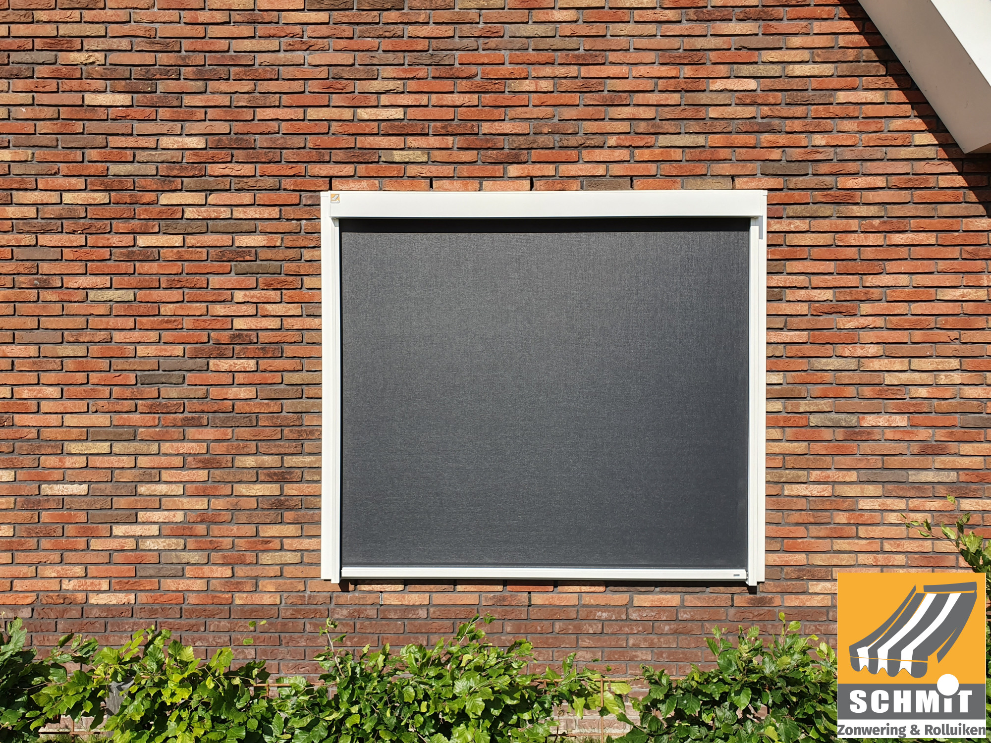 ROMA ZIPscreens Looqify