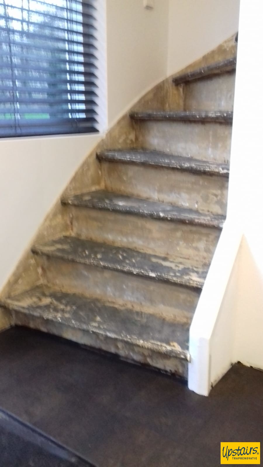 Blauwstaal met GESPOTEN wangen