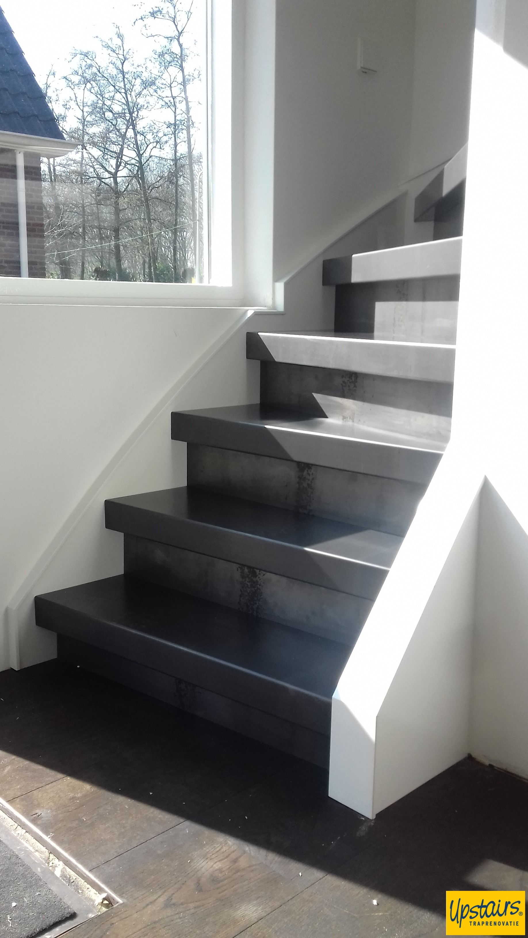Blauwstaal met GESPOTEN wangen