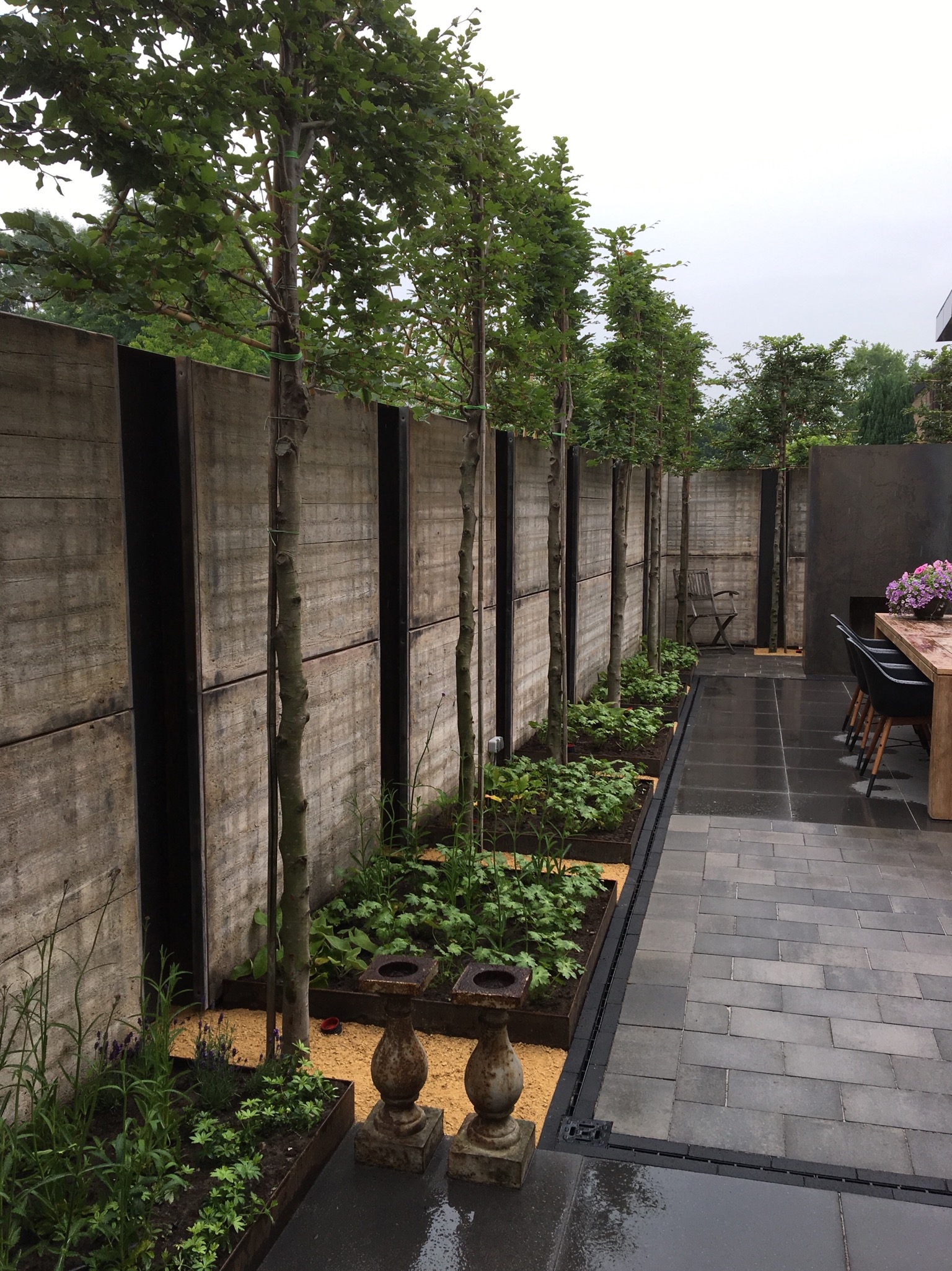 Achtertuin 2